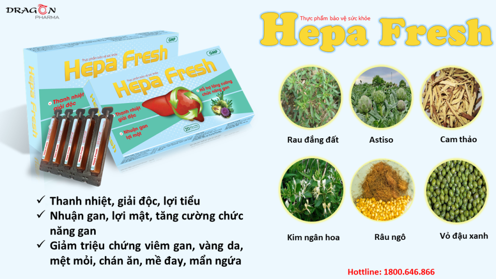 Hepafresh - Thanh nhiệt, giải độc, tăng cường chức năng gan