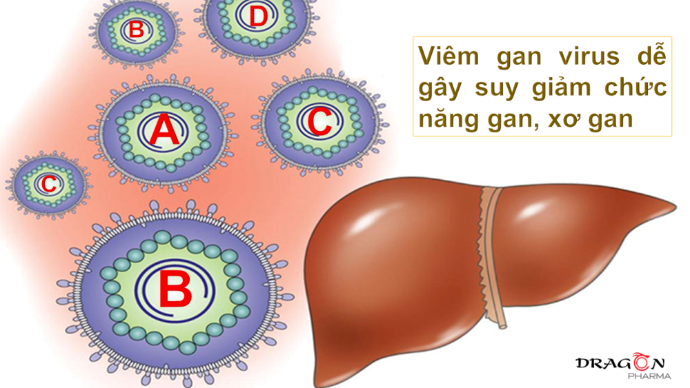 Viêm gan virus là nguyên nhân dẫn đến ung thư gan cao nhất.