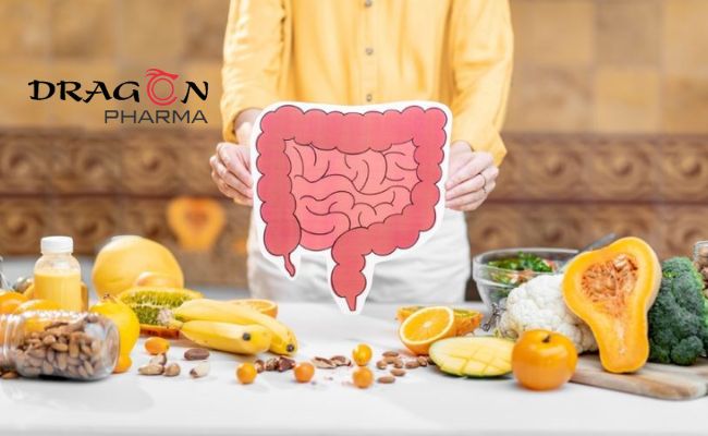 Probiotics giúp cân bằng lợi khuẩn trong hệ tiêu hóa