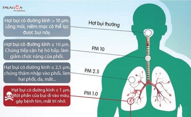 Tác hại của bụi mịn do không khí bị ô nhiễm đến hệ hô hấp con người.