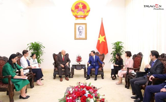 Cuộc gặp gỡ trao đổi giữa đại diện Bộ Y tế Việt Nam và WHO