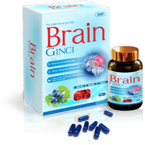 TPBVSK BRAIN GINCI