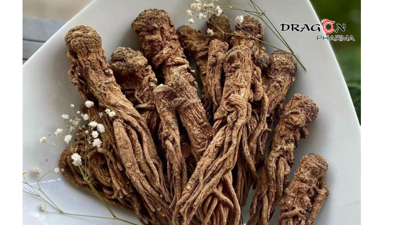 đương quy thường được sử dụng làm thành phần chính trong nhiều bài thuốc bổ huyết hoạt huyết