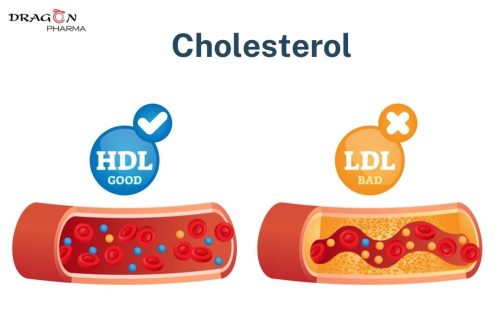 HDL-C là cholesterol tốt cho cơ thể