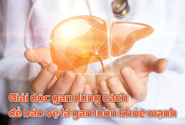 Giải độc gan đúng cách – Bảo vệ lá gan khỏe mạnh mỗi ngày