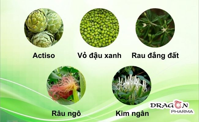 Một số thảo dược tốt nên lựa chọn sử dụng khi bị gan nhiễm mỡ