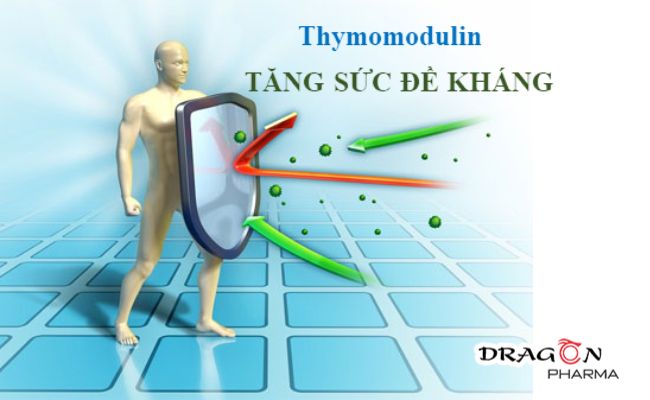 Thymomodulin dưỡng chất quan trọng tăng đề kháng cho trẻ