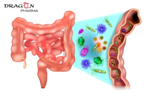 Vi khuẩn có hại tăng gây loạn khuẩn đường ruột